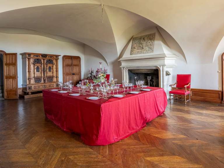Castle Châtillon-en-Bazois - 22 bedrooms - 2163m²