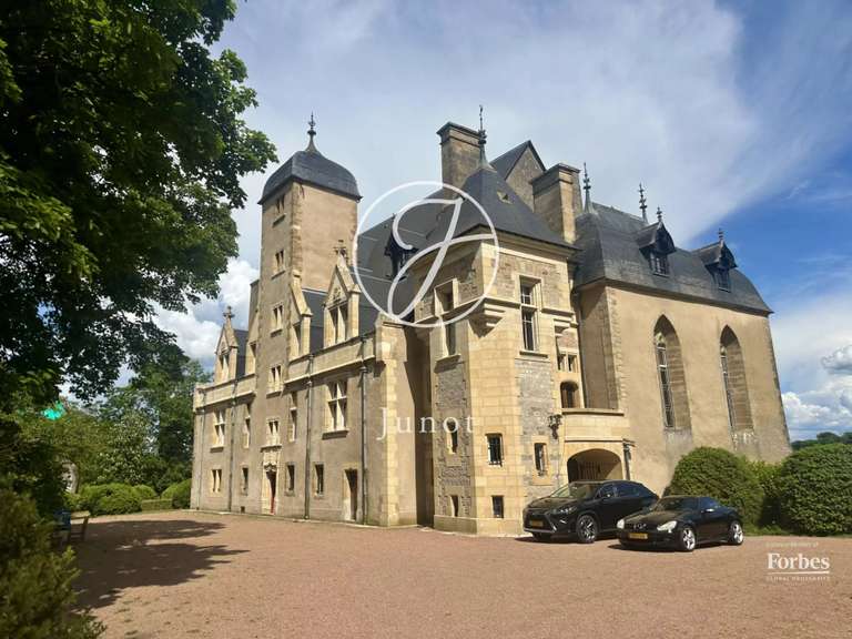Castle Châtillon-en-Bazois - 22 bedrooms - 2163m²