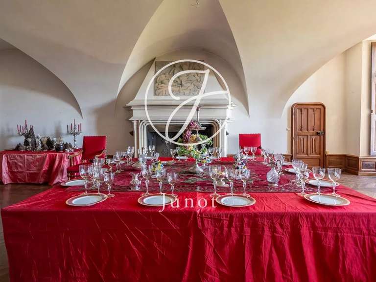 Château Châtillon-en-Bazois - 22 chambres - 2163m²