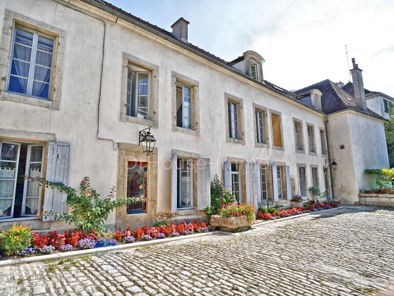Vente Hôtel particulier Châtillon-sur-Seine - 8 chambres