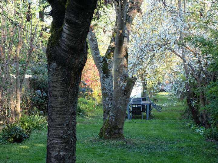 Maison Chatou - 5 chambres - 153m²