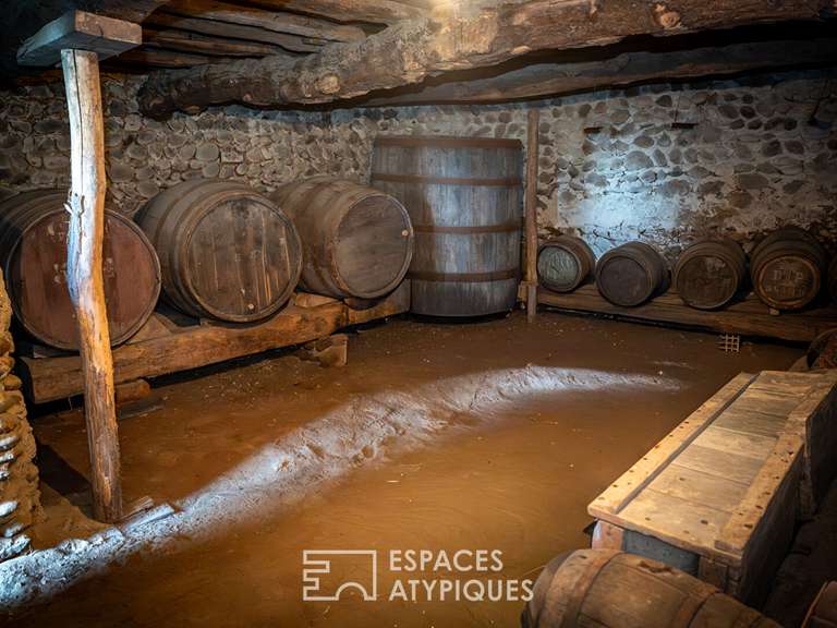 Maison Chatuzange-le-Goubet - 4 chambres - 221m²