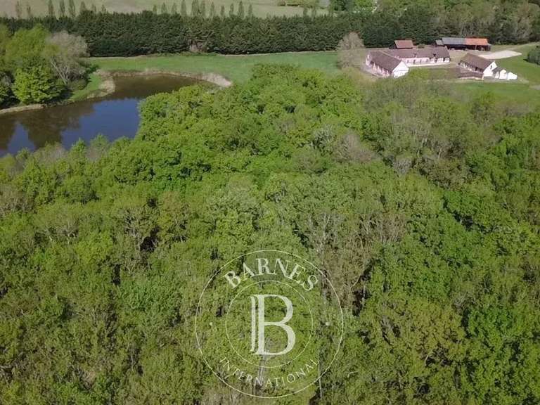 Propriété Chaumont-sur-Tharonne - 3 chambres