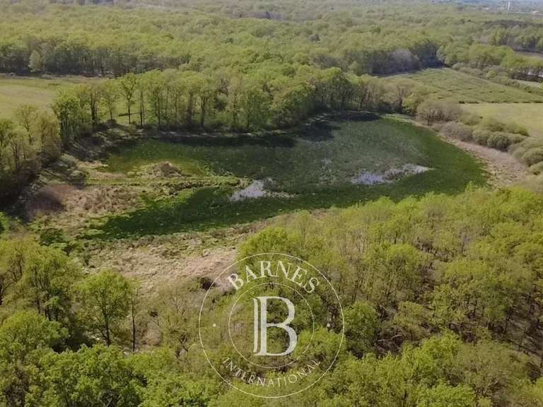 Propriété Chaumont-sur-Tharonne - 3 chambres