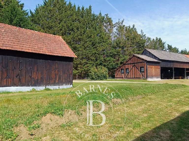 Propriété Chaumont-sur-Tharonne - 3 chambres