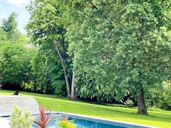 Property Chavannes-sur-Reyssouze - 8 bedrooms - 407m²
