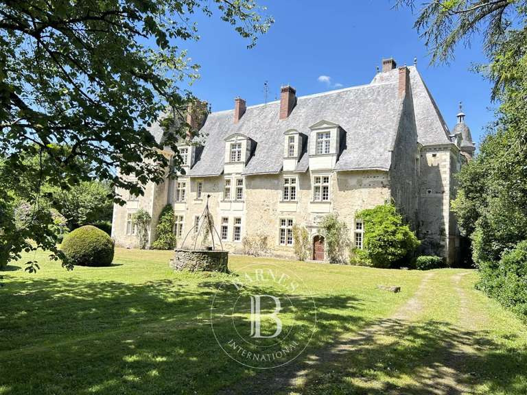 Château Chazé-sur-Argos - 15 chambres - 1100m²