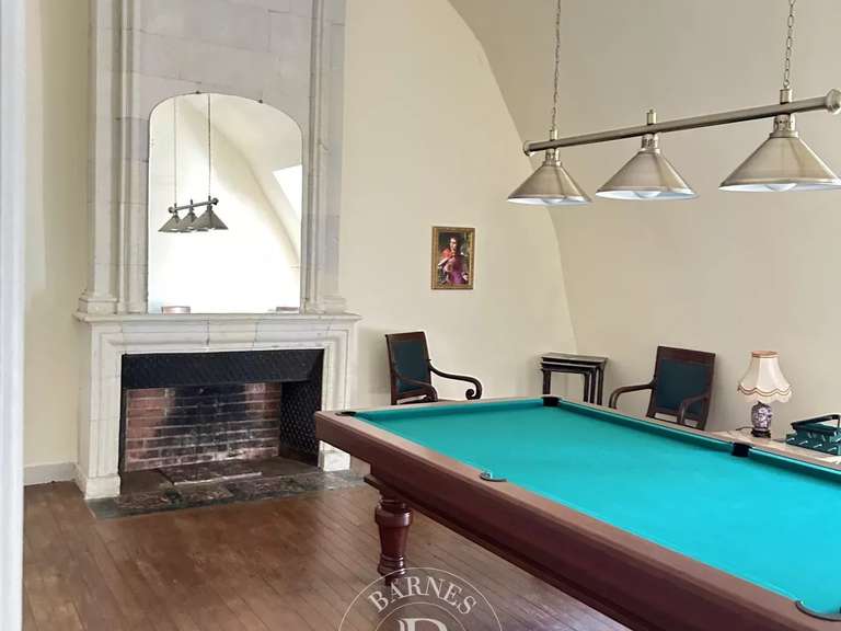 Château Chazé-sur-Argos - 15 chambres - 1100m²