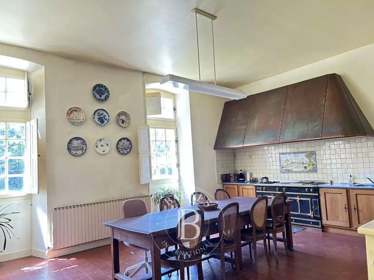 Château Chazé-sur-Argos - 15 chambres - 1100m²