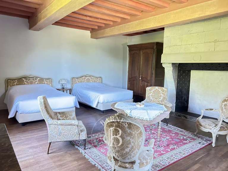 Château Chazé-sur-Argos - 15 chambres - 1100m²