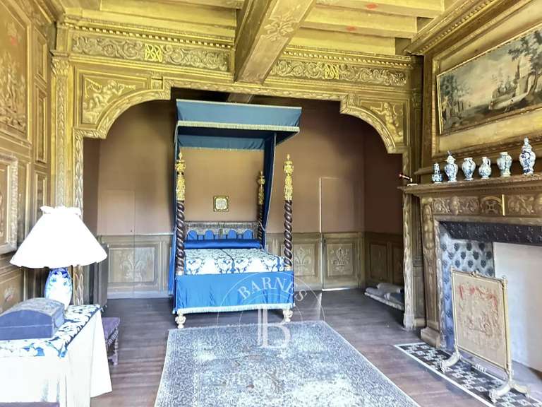 Château Chazé-sur-Argos - 15 chambres - 1100m²