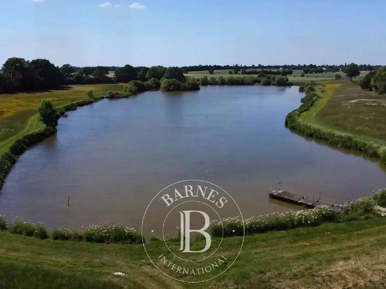 Château Chazé-sur-Argos - 15 chambres - 1100m²