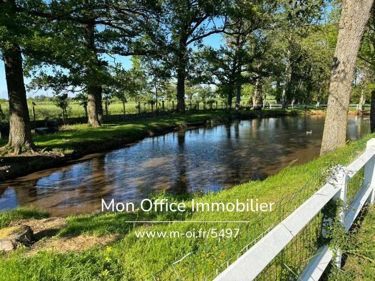 Château Chazemais - 10 chambres - 1389m²