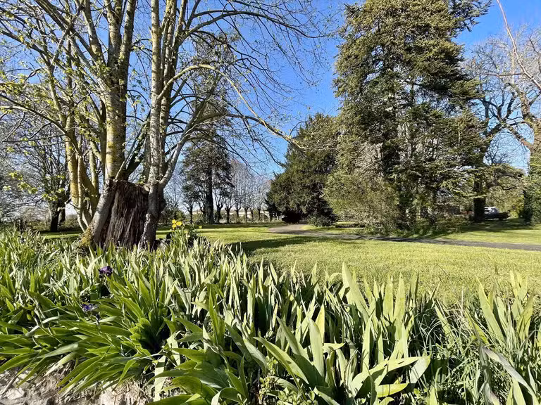 Château Chef-Boutonne - 7 chambres - 405m²