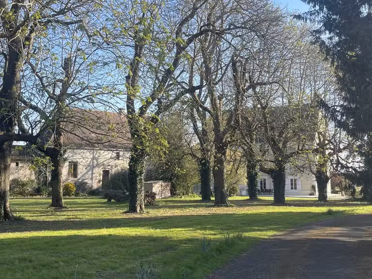 Château Chef-Boutonne - 7 chambres - 405m²