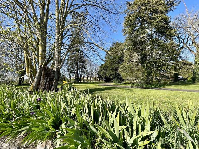 Château Chef-Boutonne - 7 chambres - 405m²