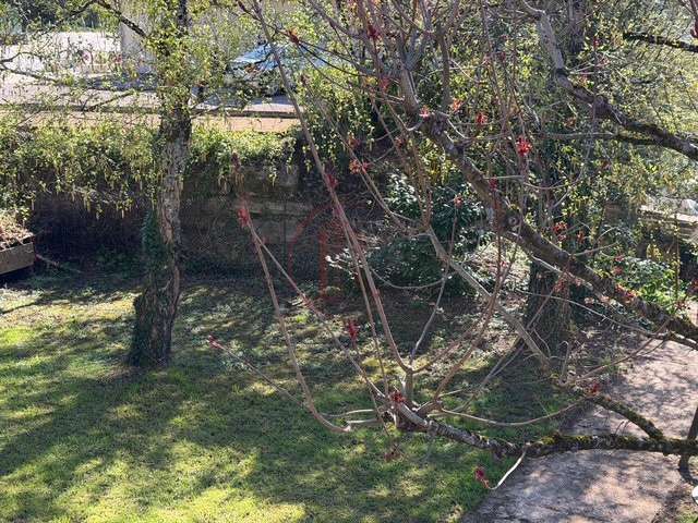 Maison Chemaudin et Vaux