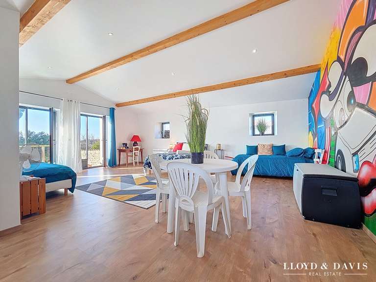 Maison Chenac-Saint-Seurin-d'Uzet - 4 chambres - 280m²