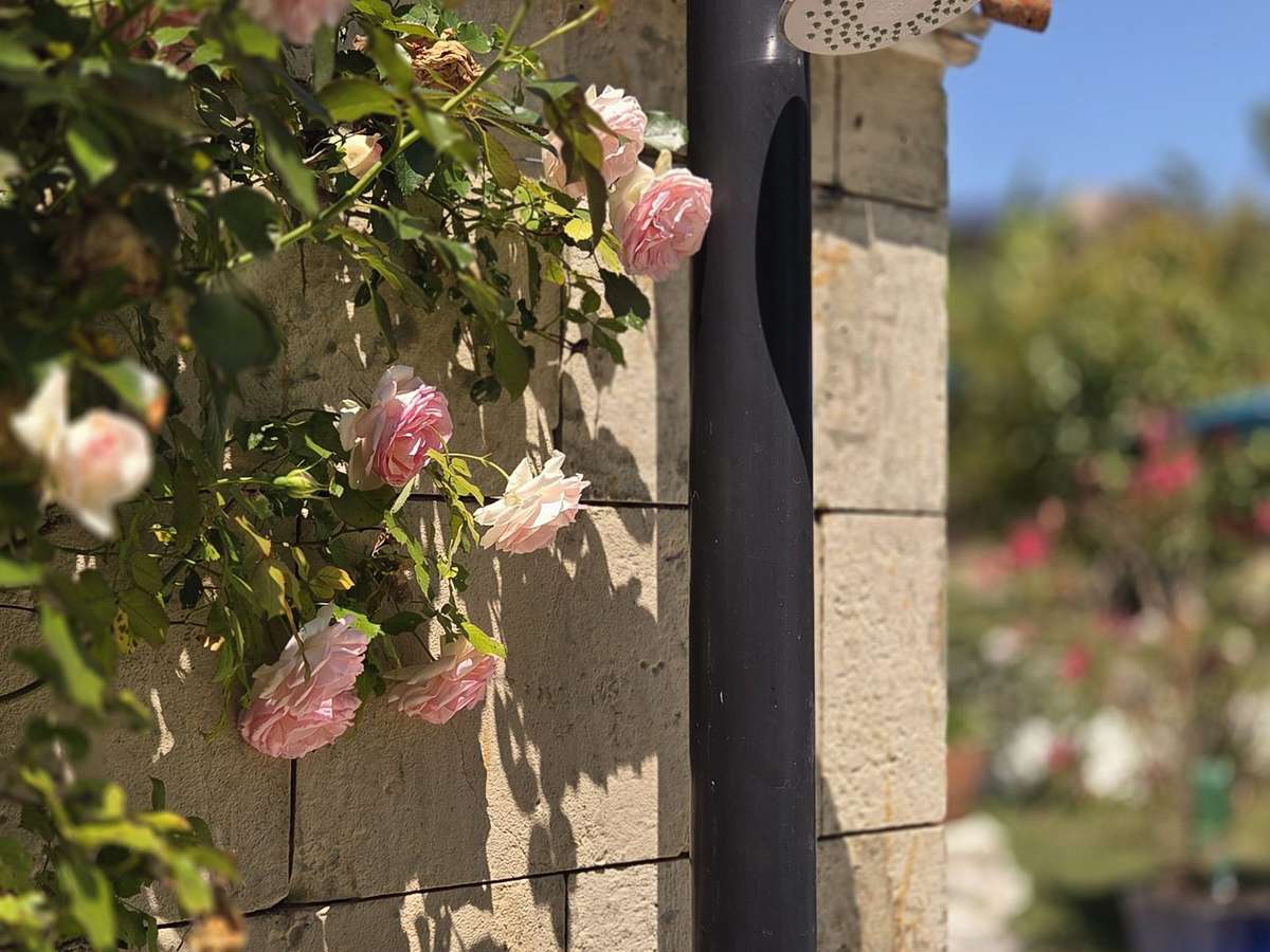 Maison Chenac-Saint-Seurin-d'Uzet