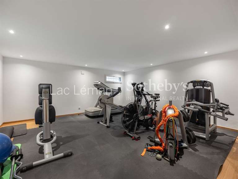 Maison Chens-sur-Léman - 5 chambres - 312m²