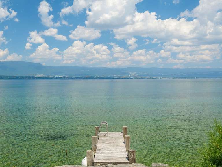 Maison Chens-sur-Léman - 9 chambres - 1361m²