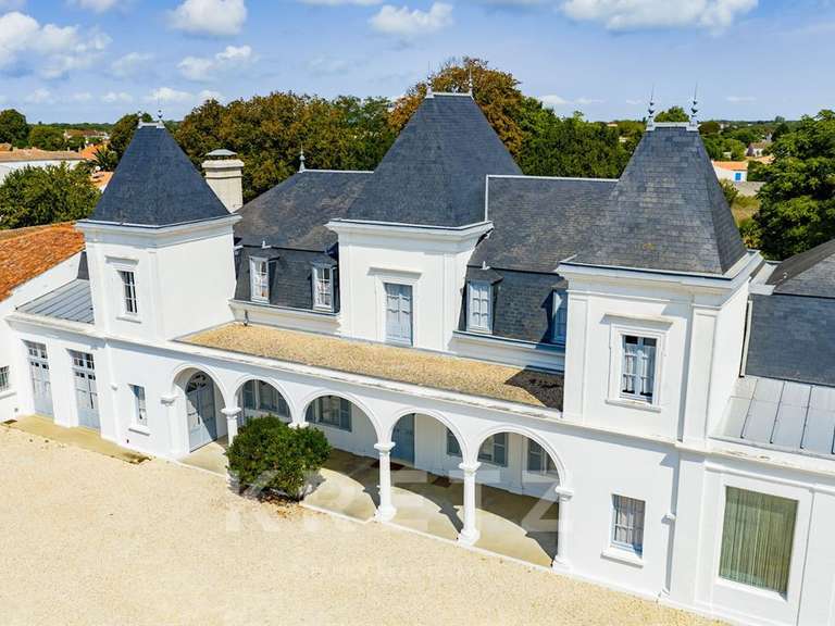 Castle cheray - 12 bedrooms - 1800m²