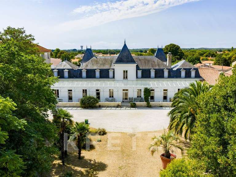 Castle cheray - 12 bedrooms - 1800m²