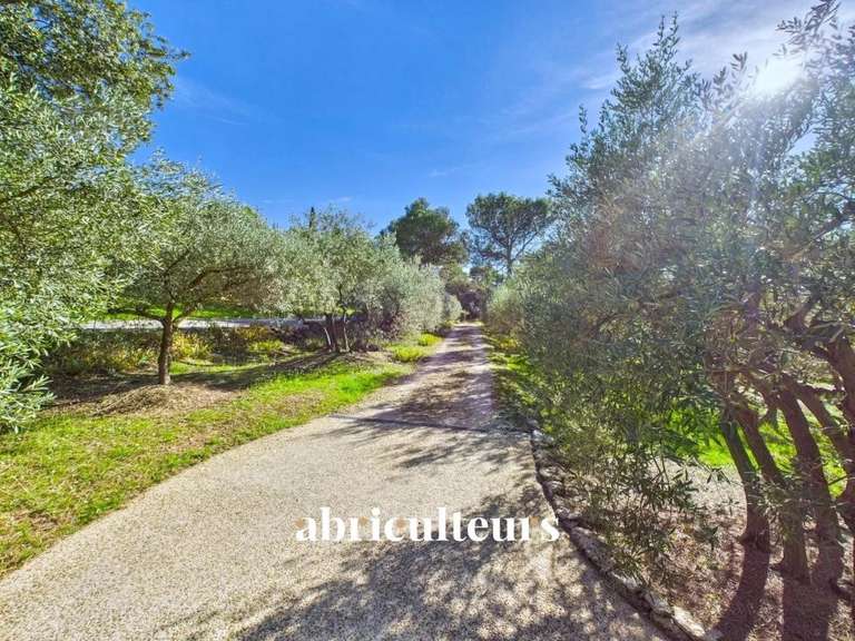 Maison Cheval-Blanc - 4 chambres - 155m²