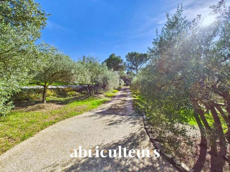 Maison Cheval-Blanc - 4 chambres - 155m²