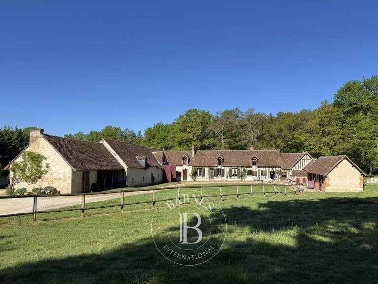 Unusual property Cheverny - 8 bedrooms - 380m²