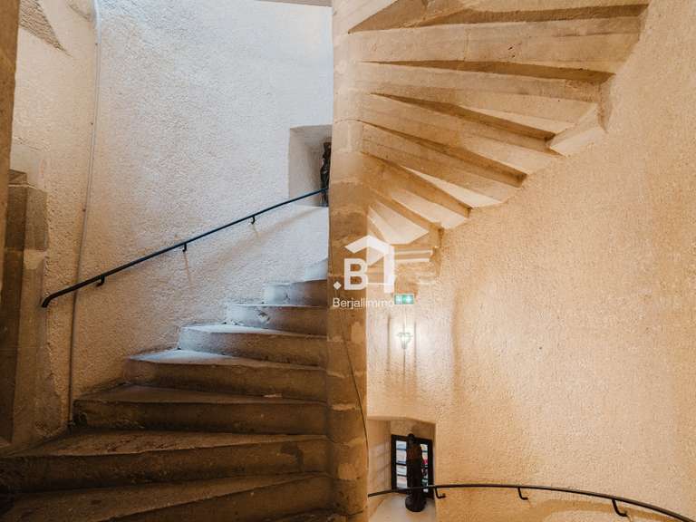 Château Chichilianne - 23 chambres - 1100m²