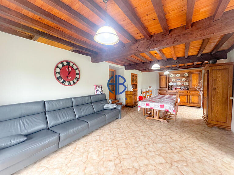 Maison Chimilin - 3 chambres - 190m²
