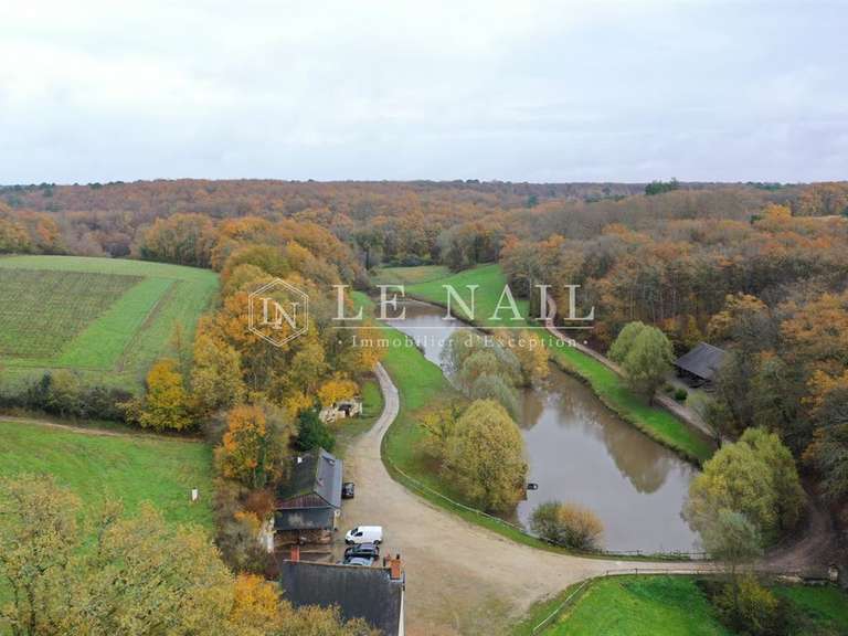 Maison Chinon - 9 chambres - 300m²