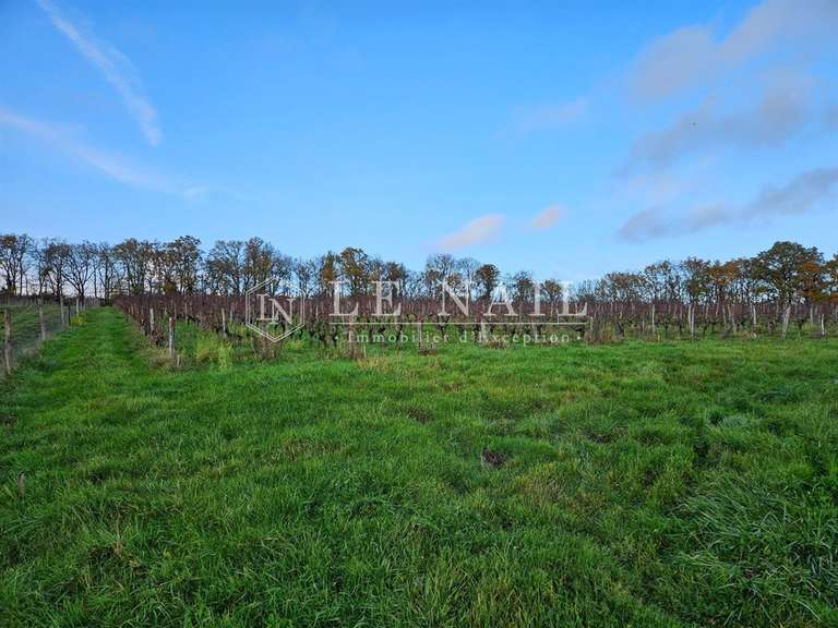 Maison Chinon - 9 chambres - 300m²
