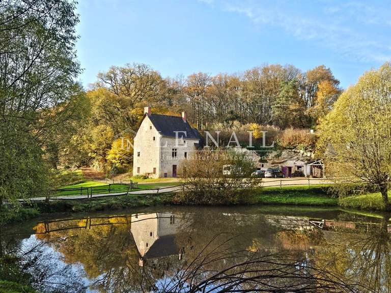 Maison Chinon - 9 chambres - 300m²