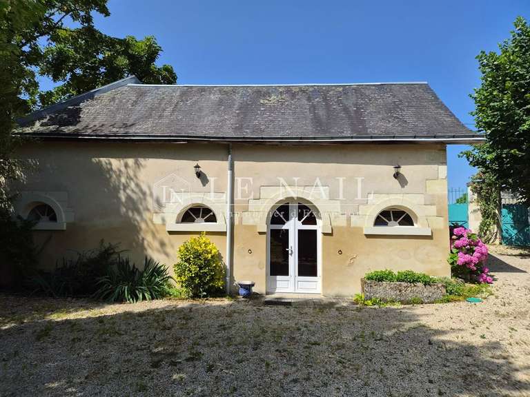 Maison Chinon - 10 chambres - 530m²