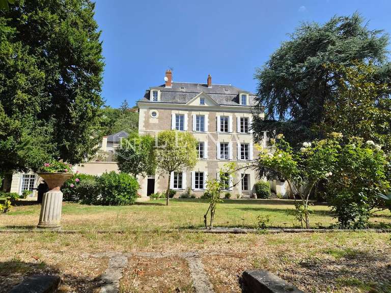 Maison Chinon - 10 chambres - 530m²
