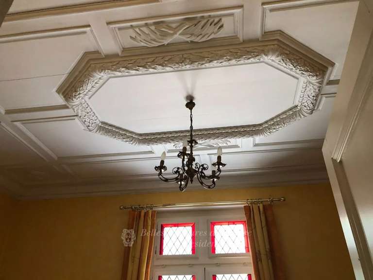 Manoir Chinon - 11 chambres - 8800m²