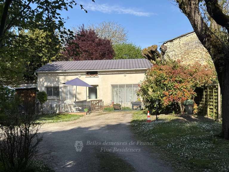 Manoir Chinon - 11 chambres - 8800m²