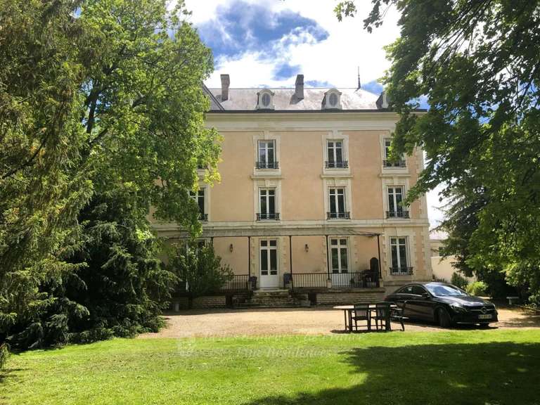 Manoir Chinon - 11 chambres - 8800m²