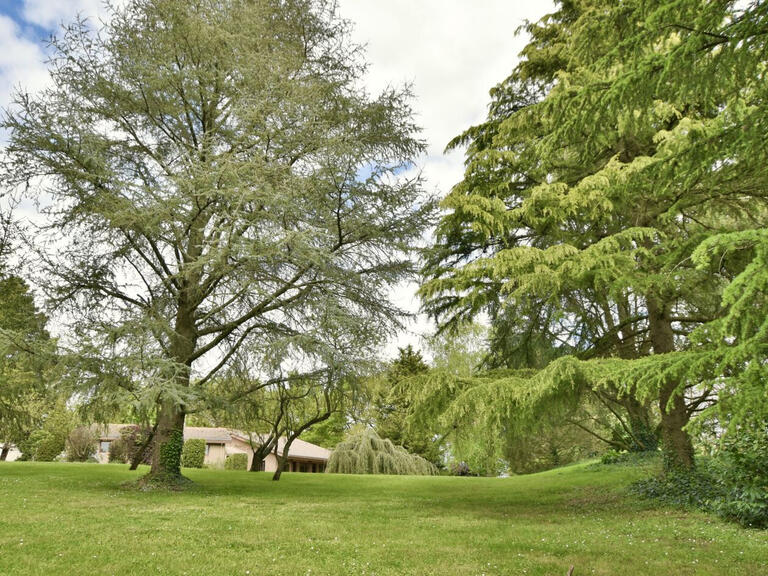 Maison Cholet - 267m²