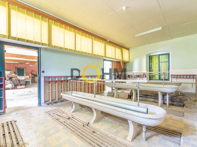 Maison Chomelix - 2300m²