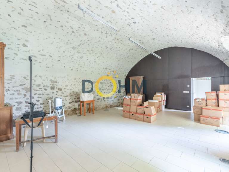 Maison Chomelix - 12 chambres - 2300m²