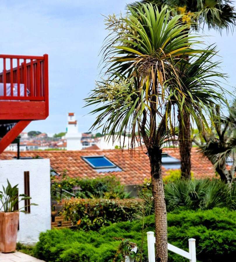Apartment Ciboure