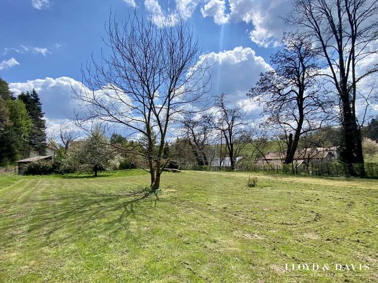 Maison Cirey-sur-Vezouze - 5 chambres - 340m²