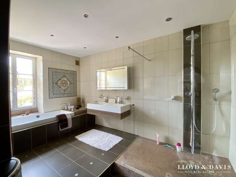 Maison Cirey-sur-Vezouze - 5 chambres - 340m²