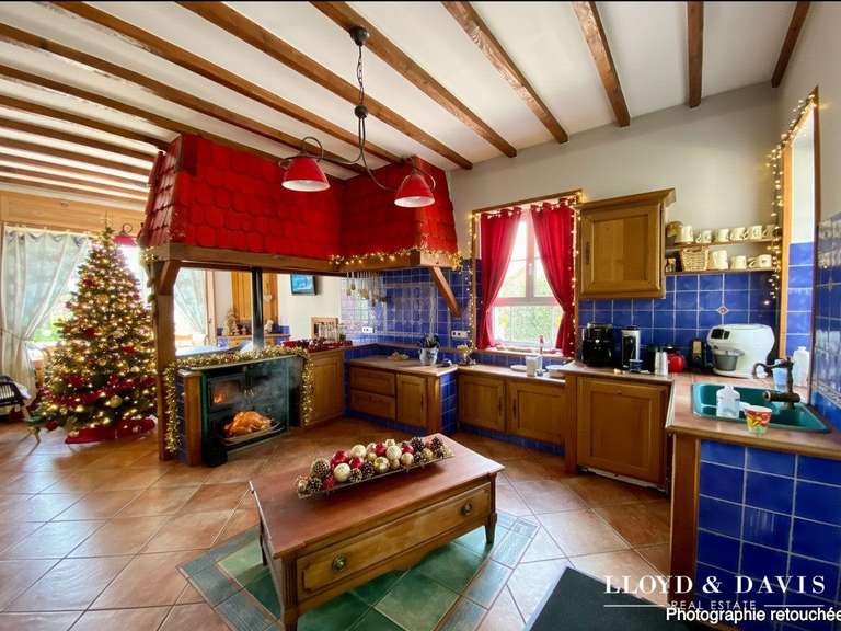 Maison Cirey-sur-Vezouze - 5 chambres - 340m²