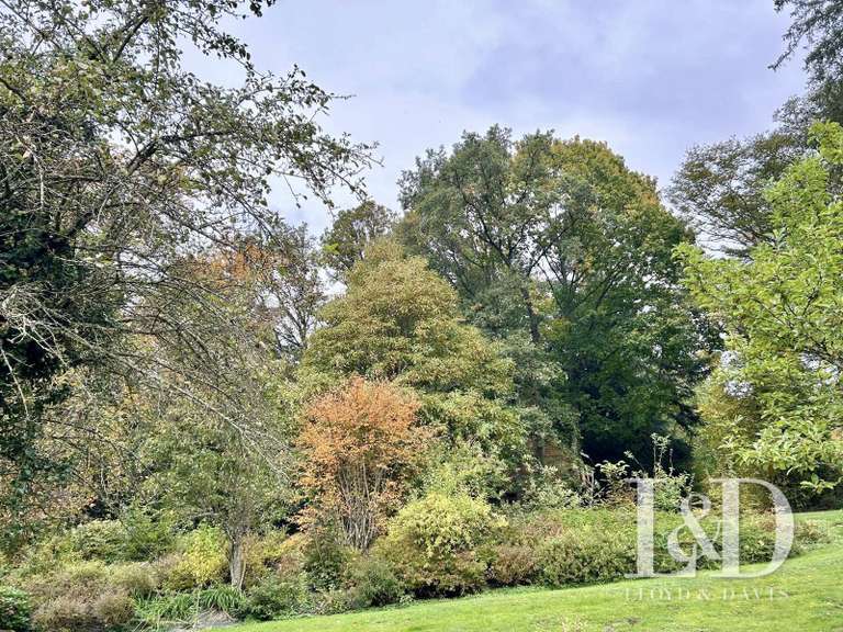 Maison Cirey-sur-Vezouze - 5 chambres - 340m²