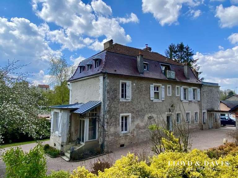 Maison Cirey-sur-Vezouze - 5 chambres - 340m²