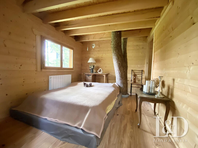House Cirey-sur-Vezouze - 5 bedrooms - 340m²